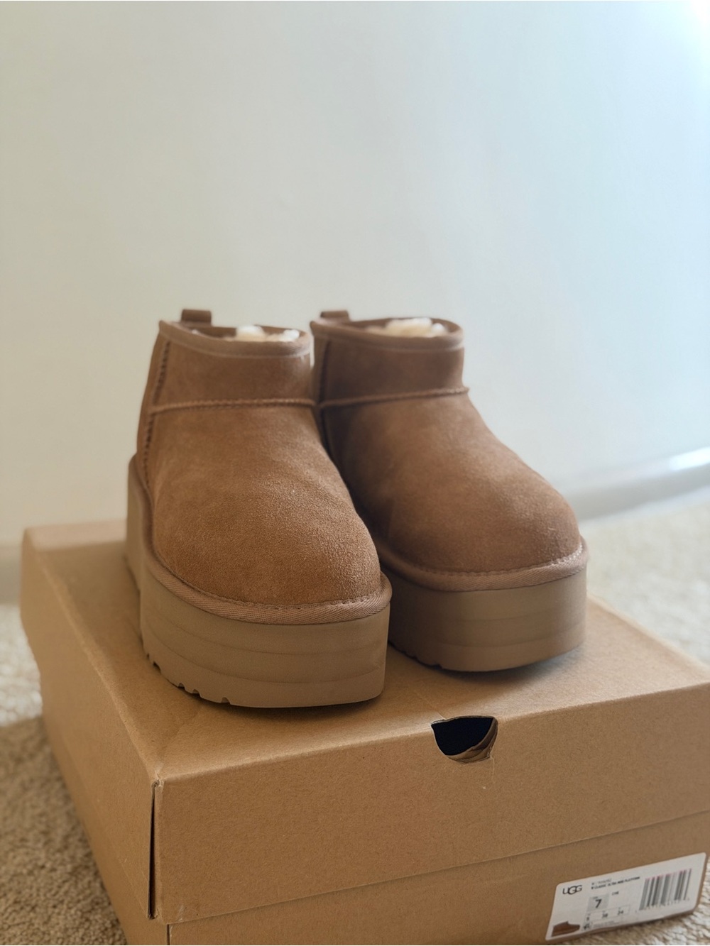 UGG Chestnut Suede Platform Ankle Boots